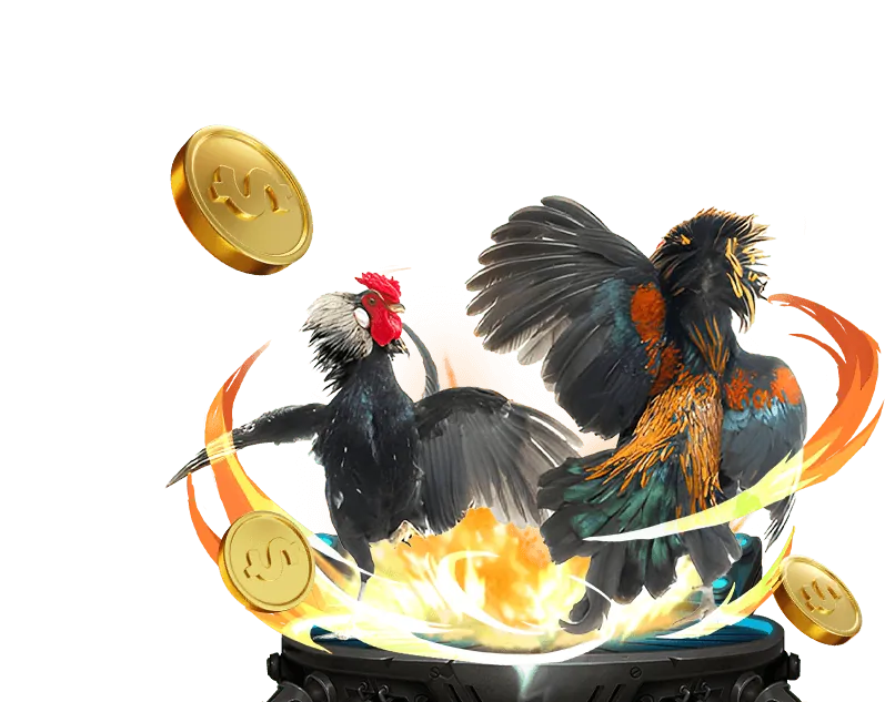 Người chơi đang phân tích chiến lược casino